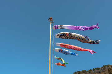 山村を泳ぐ鯉のぼり