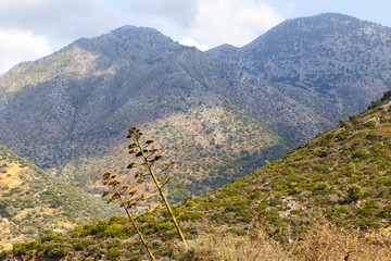 Mountains on the island of Crete