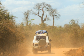 4x4 convoy on the dirt road from Morondava to Bekopaka in Madagascar © dennisvdwater