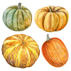 Watercolor pumpkins set