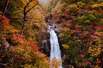 Akiu Waterfall, Akiu Otaki - 163233105
