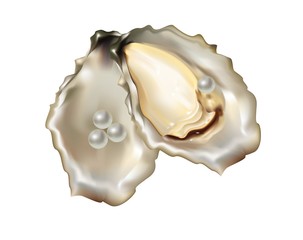 Pearls in the oyster shell