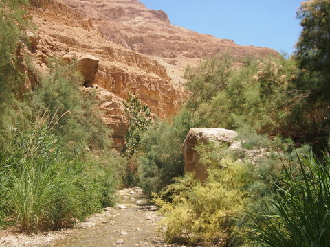 Ein Gedi Hiking