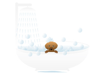 Dog bath vector illustration
