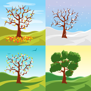 Cartoon Tree Seasons Set on a Nature Landscape Background. Vector
