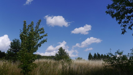 Obraz premium clouds