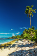 Natural vibrant tropical beach on south side of Samoa Island with palm trees