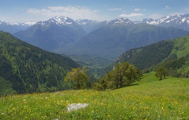 Summer in mountains