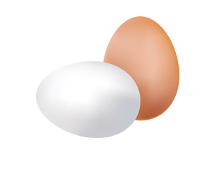 Brown and white eggs on white background