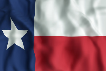 Texas State flag