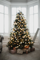 Defocussed christmas tree © dglimages