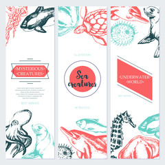 Sea Creatures - color drawn template banner. © Boyko.Pictures