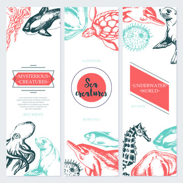 Sea Creatures - color drawn template banner.