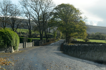Landstraße in Irland