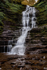 Obraz premium Silk Water Fall