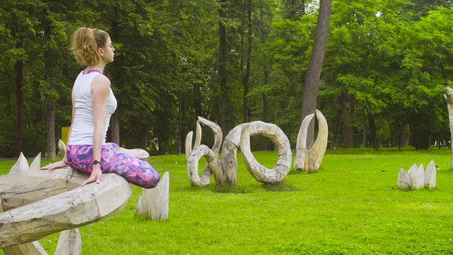 Young woman doing yoga exercises in the park