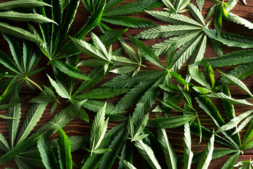 cannabis leaf on wooden table