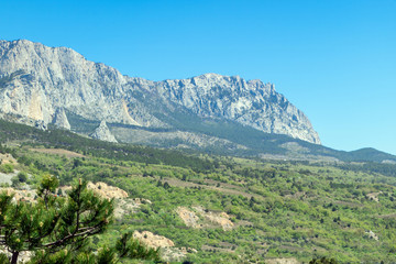 Naklejka na ściany i meble Crimea, Ai-Petri Mountain Range, view from below