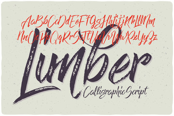 Hand drawn calligraphic font made with dry brush textured effect