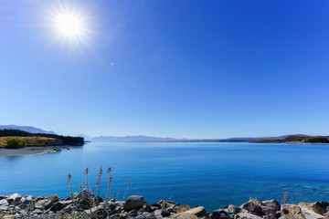 Beautiful backlit scenery of Lake Pukaki , Mackenzie District, Canterbury region, South Island of New Zealand