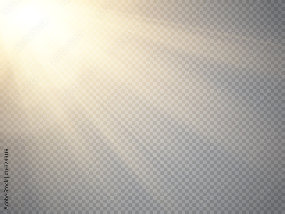 Wall mural sun isolated on transparent background. vector illustration.