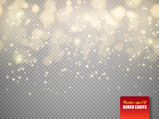 Golden bokeh lights with glowing particles isolated. Vector