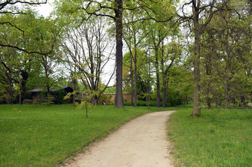 Fototapeta na wymiar Forest Garden Path 
