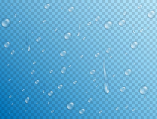 Water drops background. Realistic vector water droplets isolated on transparent background