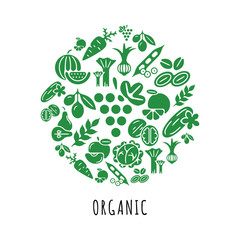 Digital green vegetable icons set infographics drawn simple line art pattern, onion squash pear orange apple grape carrot wallnut peas watermelon cabage, flat, organic vegetarian food chain