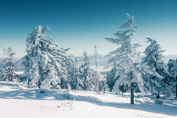 beautiful wintry landscape