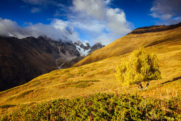 Obraz premium Location place Upper Svaneti, Mestia, Georgia, Europe. High Caucasus ridge.