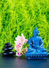 Zen garden background with Medicine Buddha, orchid flower and zen stones