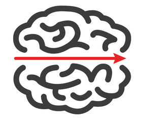 labyrinthe cerveau 3