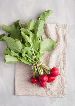 fresh raw radish with leaves over gray background