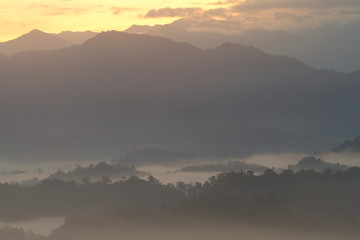 Forest Landscape at foggy sunrise somewhere in Borneo, Asia