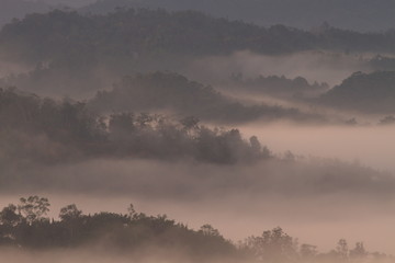 Beautiful landscape of foggy sunrise in Sabah, North Borneo, Asia