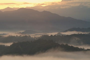 Forest Landscape at foggy sunrise somewhere in Borneo, Asia