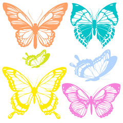 Obraz premium beautiful color butterflies,set, isolated on a white