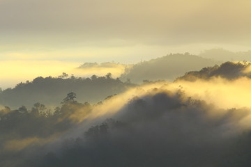 The amazing scenery of forest landscape during foggy sunrise somewhere in Sabah, North Borneo, Asia. 