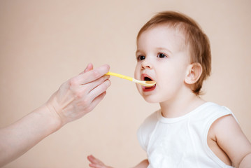 Mom feeds the baby with fruit puree