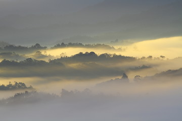 Beautiful misty morning scenry somewhere in Sabah, North Borneo, Asia