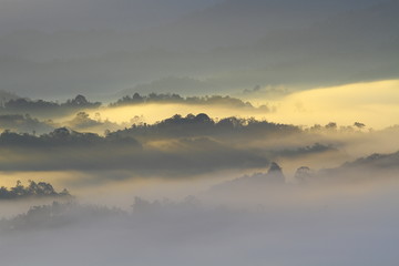 Beautiful misty morning scenry somewhere in Sabah, North Borneo, Asia