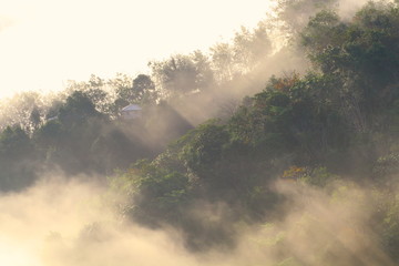 Beautiful misty morning scenry somewhere in Sabah, North Borneo, Asia