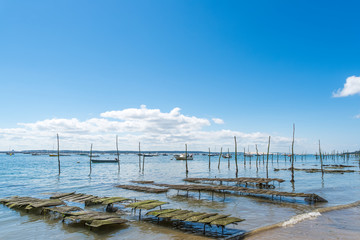 CAP FERRET (Bassin d'Arcachon, France), village de L'herbe