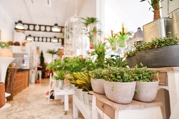 Fototapeta na wymiar An Image of A Flower Shop With Green Plants
