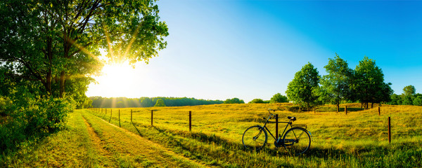 Fototapeta Landschaft im Sommer mit Bäumen und Wiesen bei strahlendem Sonnenschein obraz