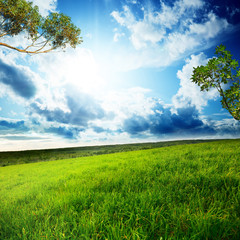 Green grass field and blue sky background