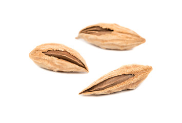 Uzbek almonds in shell