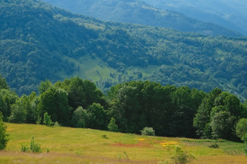 Fototapeta na wymiar Beautiful landscape in Carpathian mountains, Amazing summer view in cloudy mountains, Ukraine
