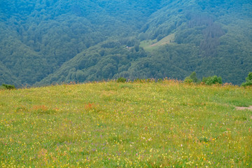 Beautiful landscape in Carpathian mountains, Amazing summer view in cloudy mountains, Ukraine